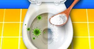 Comment nettoyer et blanchir les sanitaires et le linge