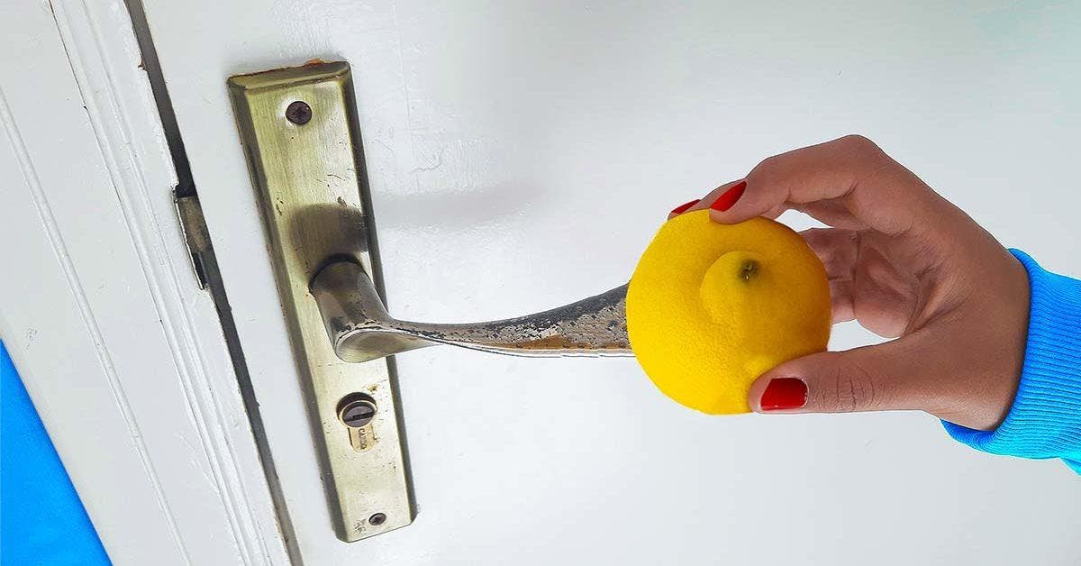Frottez 1 citron sur la poignée de la porte et admirez le résultat après quelques minutes COVER
