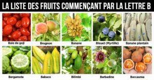Fruit en B - la liste des fruits commençant par la lettre B