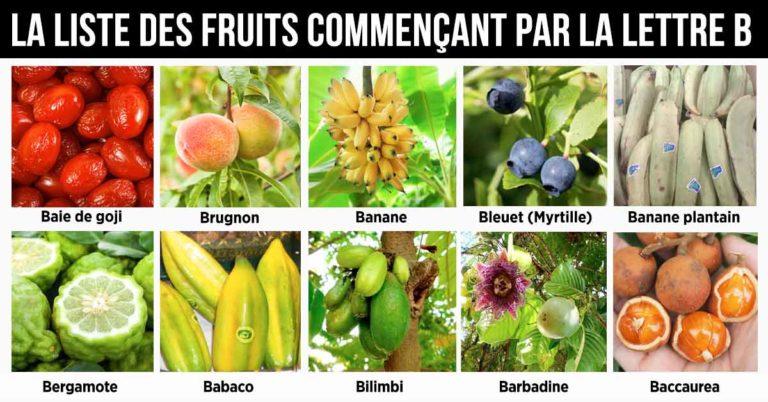 Fruit en O : la liste des fruits commençant par la lettre O