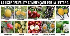 Fruit en C - la liste des fruits commençant par la lettre C