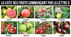 Fruit en G - la liste des fruits commençant par la lettre G