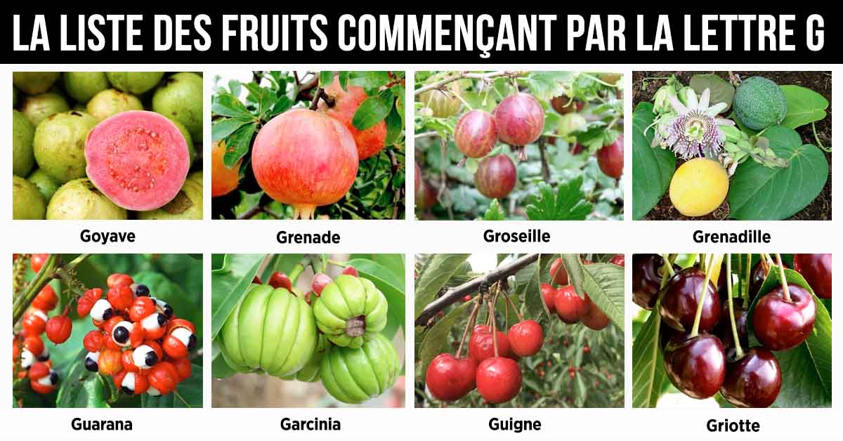 Fruit en G - la liste des fruits commençant par la lettre G