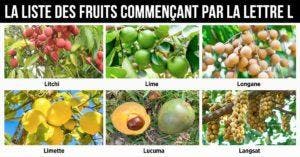 Fruit en L - la liste des fruits commençant par la lettre L_