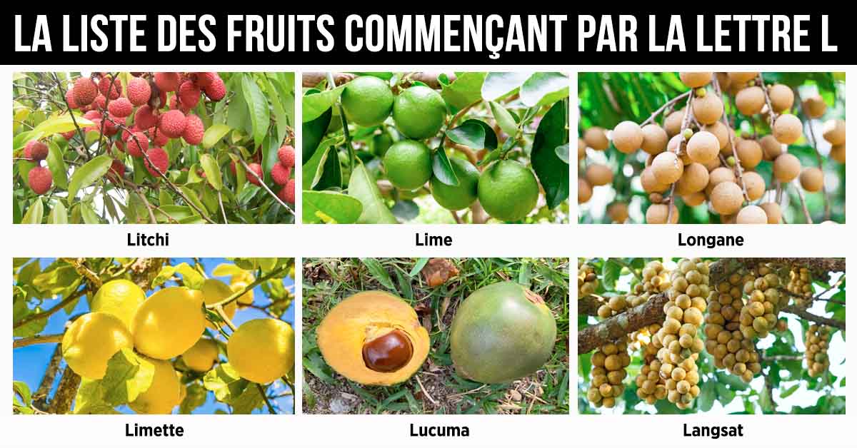 Fruit en L - la liste des fruits commençant par la lettre L_