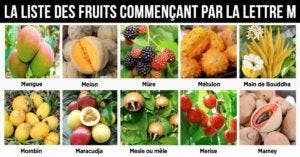 Fruit en M - la liste des fruits commençant par la lettre M