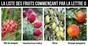 Fruit en O - la liste des fruits commençant par la lettre O