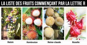 Fruit en R - la liste des fruits commençant par la lettre R