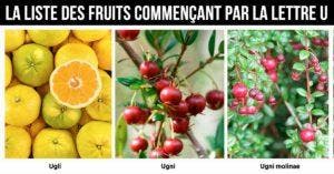 Fruit en U - la liste des fruits commençant par la lettre U_