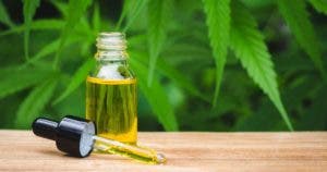 Guide complet sur les formes du CBD et ses effets sur l’organisme