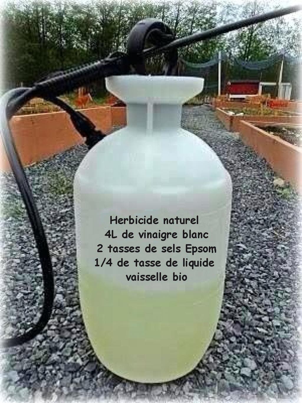 Herbicide naturel 1 1