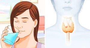 How to Reset Your Thyroid to Burn Fat and Activate Your Metabolism 1 1