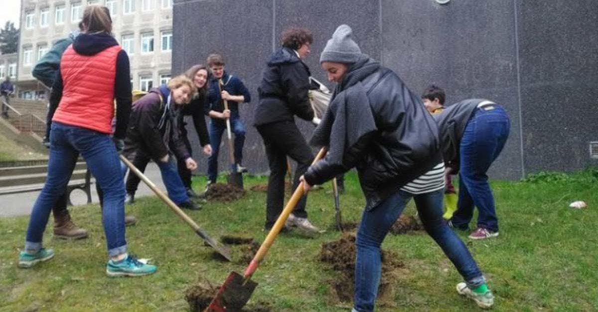 Innovation pédagogique au collège Pierre Mendès-France La discipline transformée en jardinage