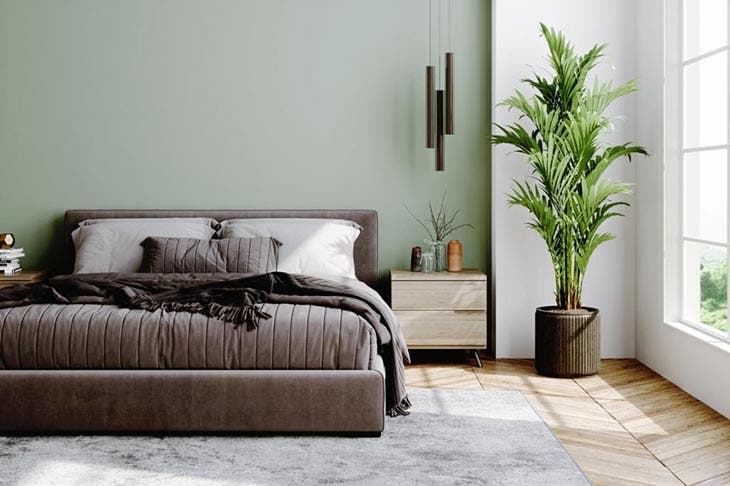Indoor bedroom with plant