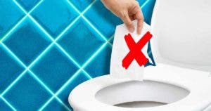 Pouvez-vous jeter un rouleau de papier toilette dans les WC