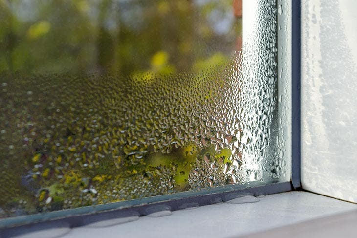 Condensation on the window