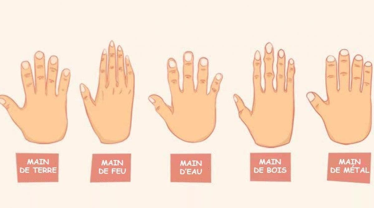 La forme de vos mains révèle des secrets sur vous