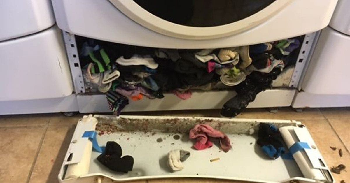 La machine a laver peut faire disparaitre vos chaussettes – voici une astuce pour eviter cela 1