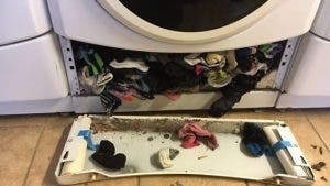 La machine a laver peut faire disparaitre vos chaussettes – voici une astuce pour eviter cela 1