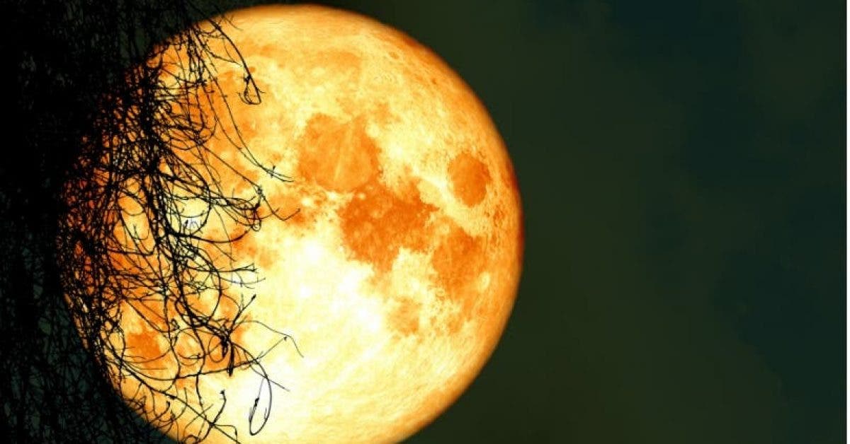 La pleine lune de ce vendredi 13 illuminera le ciel et apportera des changements sur votre signe du zodiaque