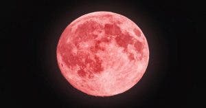 La pleine lune rose du 19 avril apportera du renouveau dans votre vie