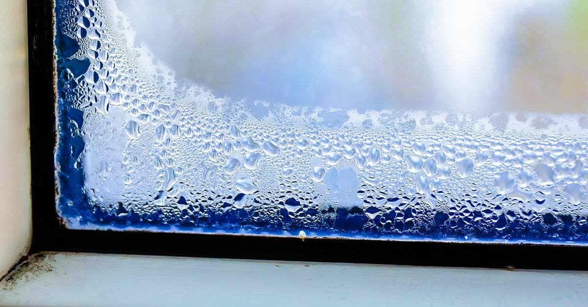 Condensation sur une fenêtre : comment s'en débarrasser ?