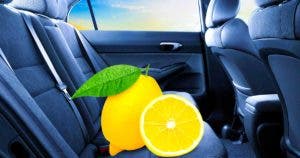 Laissez toujours du citron dans la voiture final