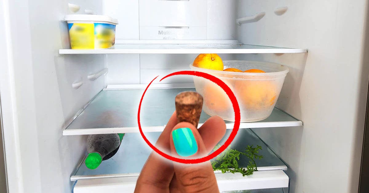 Laissez un bouchon toute la nuit au frigo : c’est la solution parfaite à ce problème de la cuisine