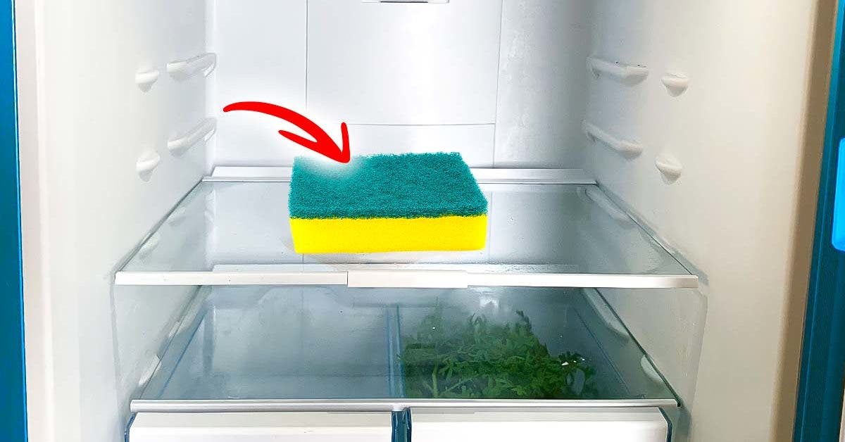 Laissez une éponge toute la nuit au frigo : vous en finirez avec ce problème pour de bon !