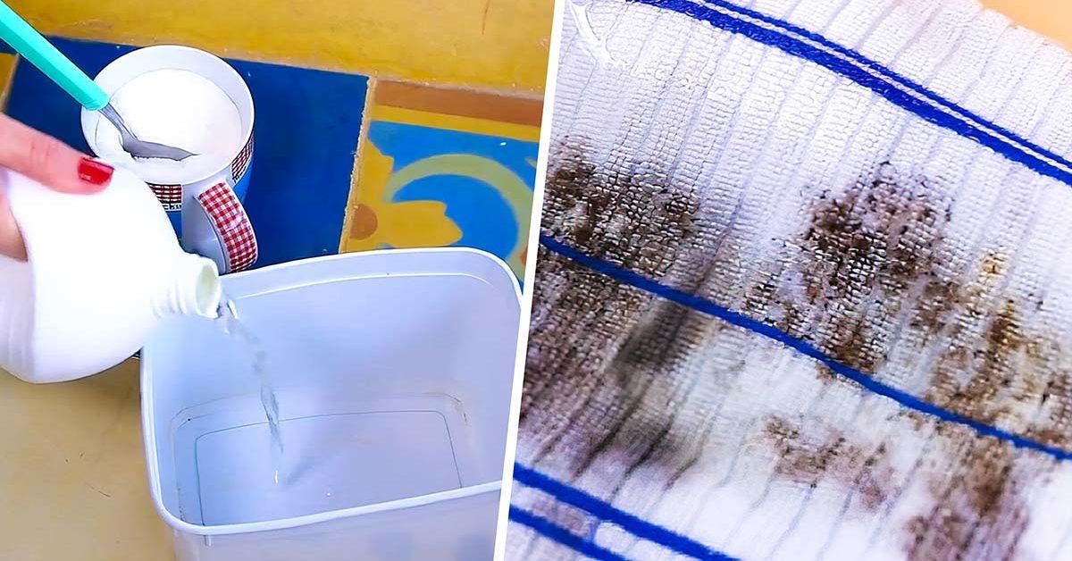 Enlever la moisissure sur du tissu 4 astuces à essayer