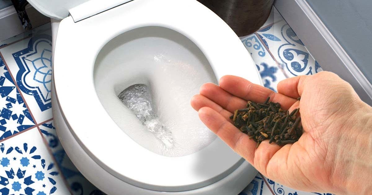 L’astuce de génie pour éliminer l'odeur d'urine dans la salle de bain et laisser un jolie parfum