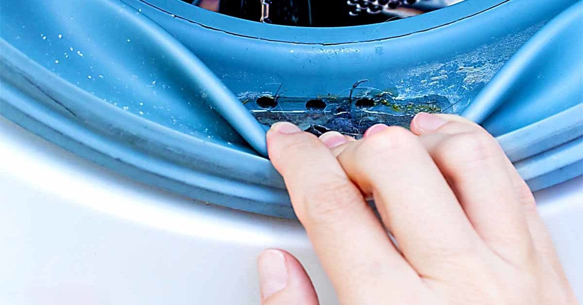 L’astuce de génie pour nettoyer les moisissures du lave linge qui infectent vos vêtements