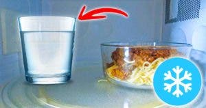 L'astuce du verre d'eau : le truc méconnu pour décongeler parfaitement les aliments au micro-ondes