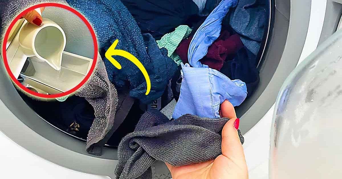 L’astuce magique pour éliminer l’odeur de moisis des vêtements dans la machine à laver01