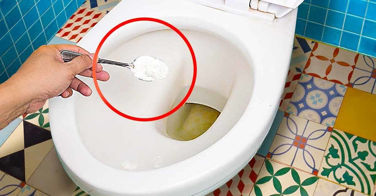 Lastuce magique pour nettoyer et desodoriser les toilettes de maniere simple et naturelle