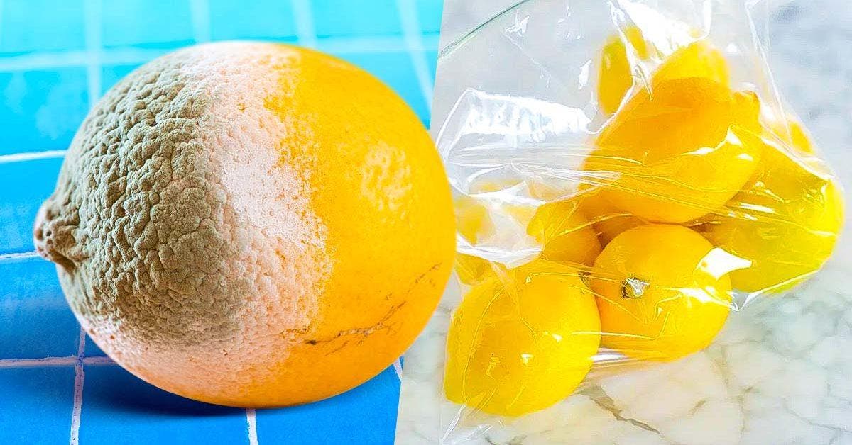 L’astuce pour conserver les citrons 1 an 001