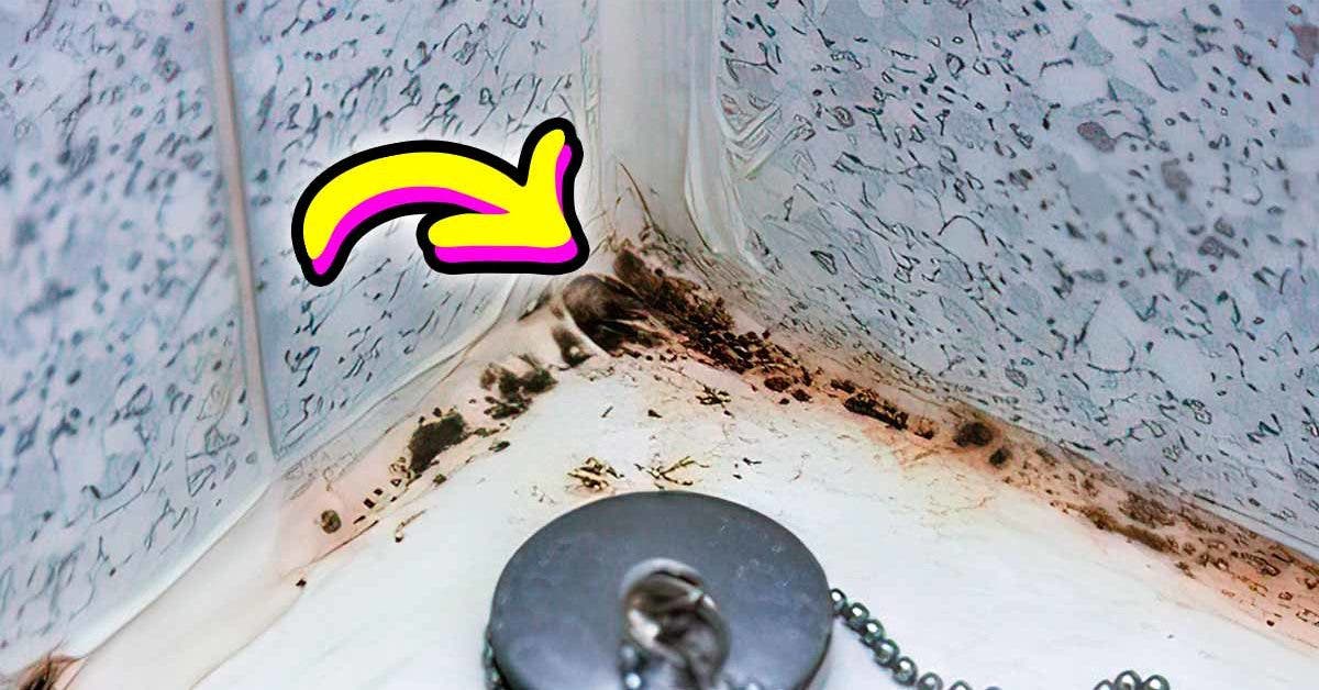 3 astuces pour enlever la moisissure noire de la salle de bain