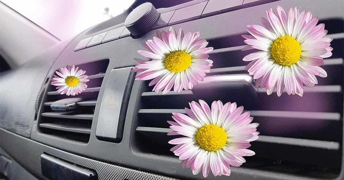 L’astuce pour parfumer la voiture - fini les mauvaises odeurs