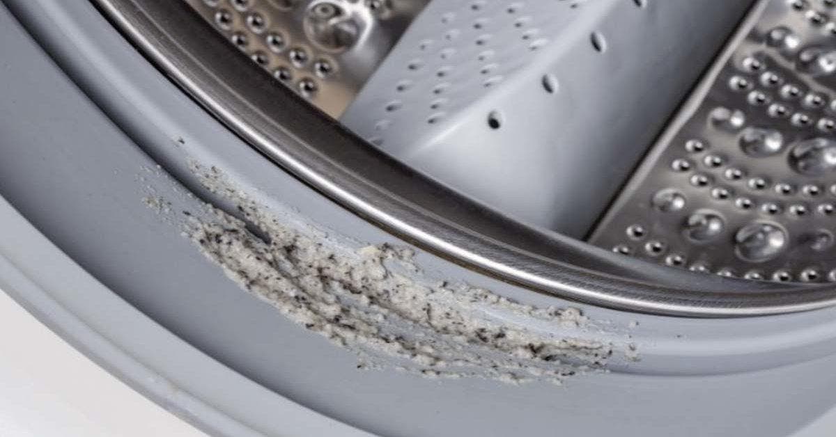 L'astuce radicale pour éliminer facilement la moisissure de votre machine à laver