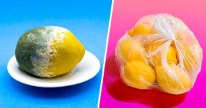 L’astuce secrète pour conserver le citron 3 mois et plus001