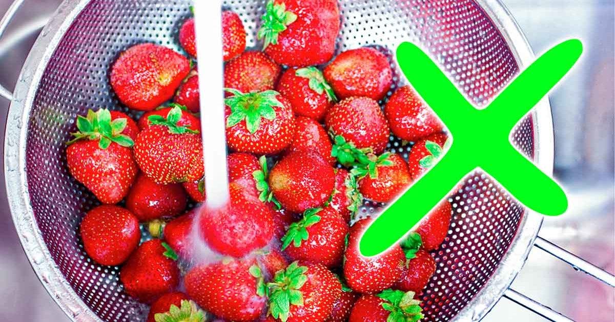 Lavez-vous les fraises uniquement avec de l’eau avant de les consommer ? C'est une grande erreur