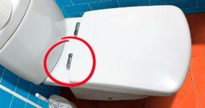 Le bouton sous le siège des toilettes est le seul moyen de faire un nettoyage parfait des WC 2001