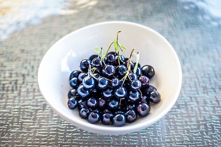 black currants in a bowl