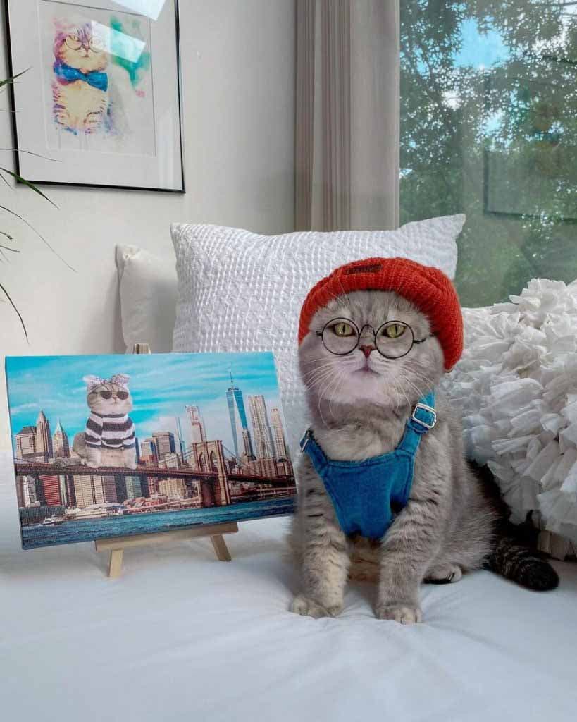 Le chat déguisé en artiste