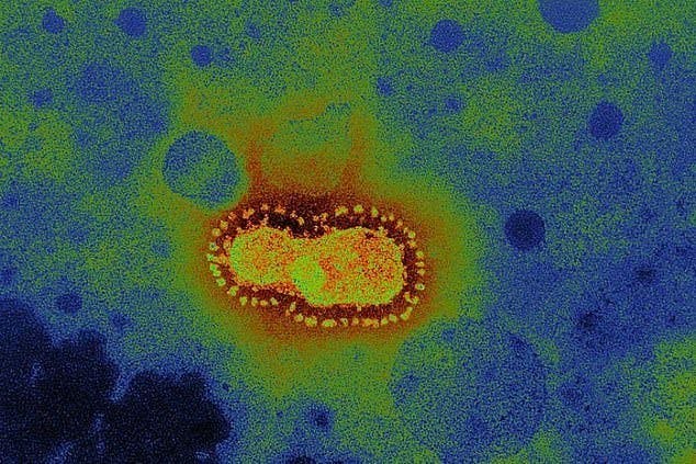 Le coronavirus tueur