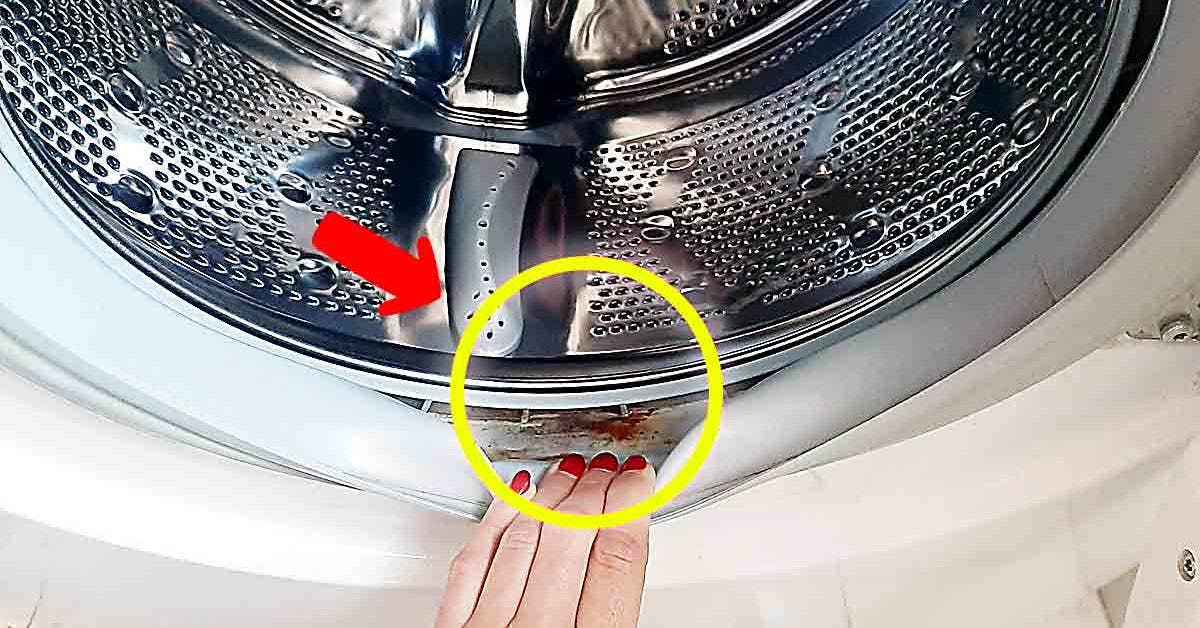 Le joint de la machine à laver est sale et malodorantLe joint de la machine à laver est sale et malodorant