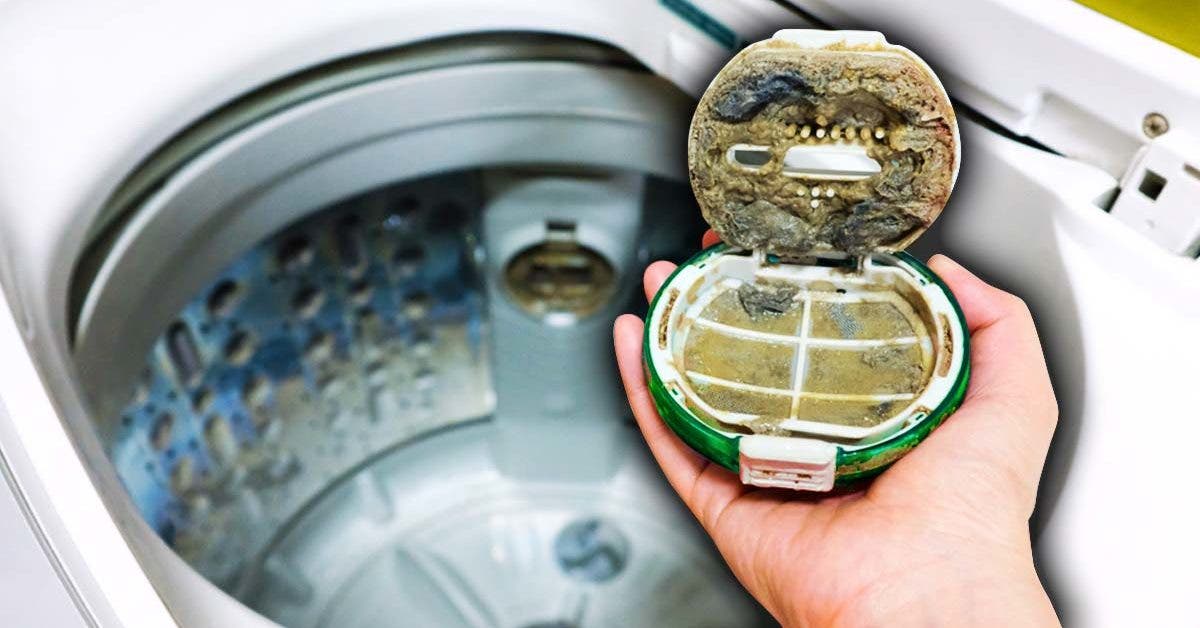 Voici pourquoi vous devriez mettre une éponge de cuisine dans votre machine  à laver