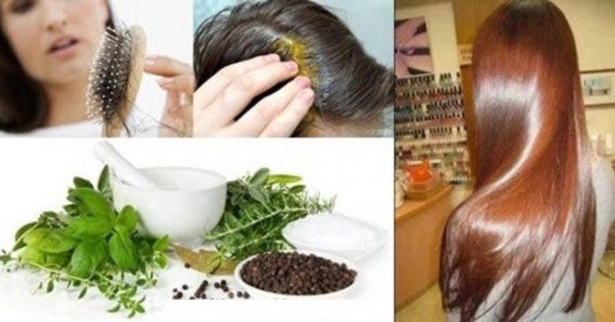 Le meilleur traitement maison contre la chute de cheveux qui est extremement efficace 1
