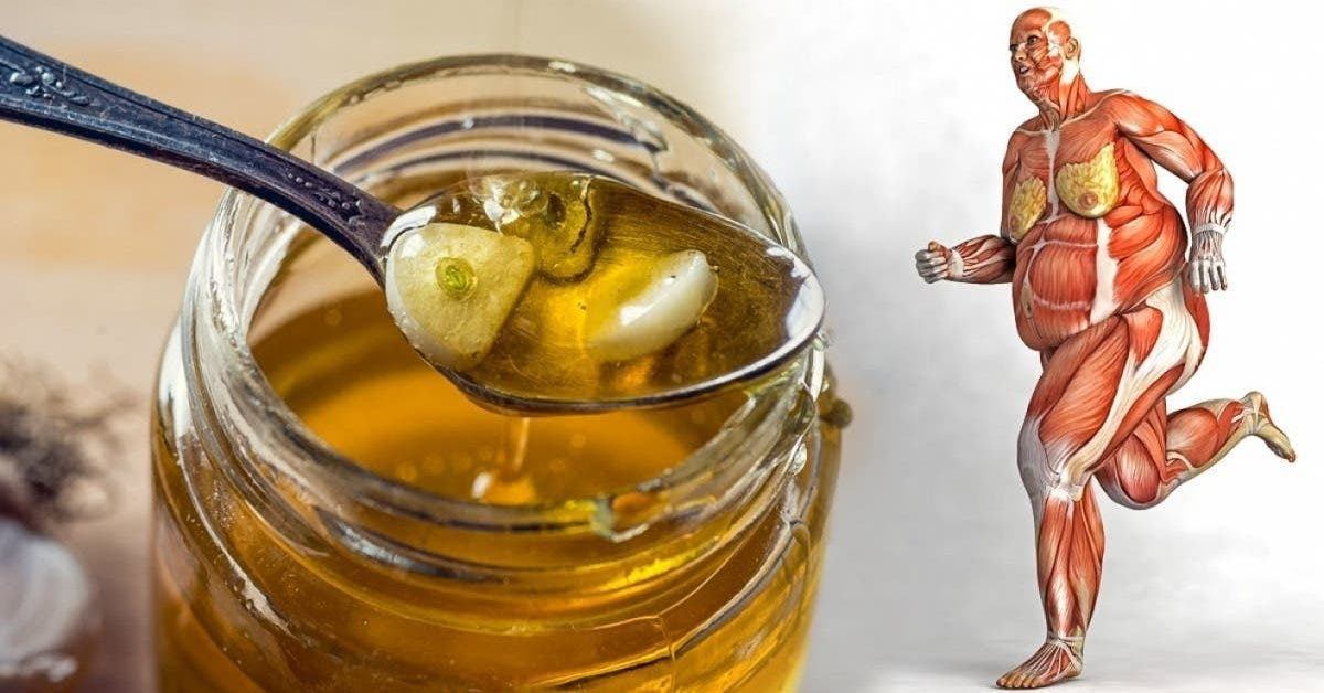 Le miel est un médicament naturel