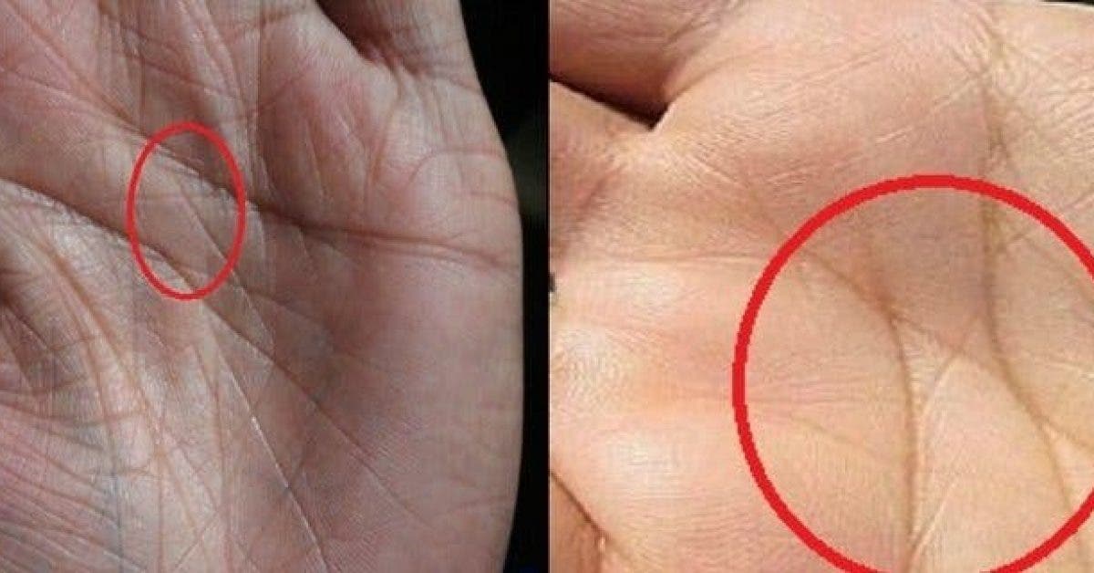Le secret derrière la lettre X dans la paume de votre main (seulement 3% des personnes dans le monde l’ont)